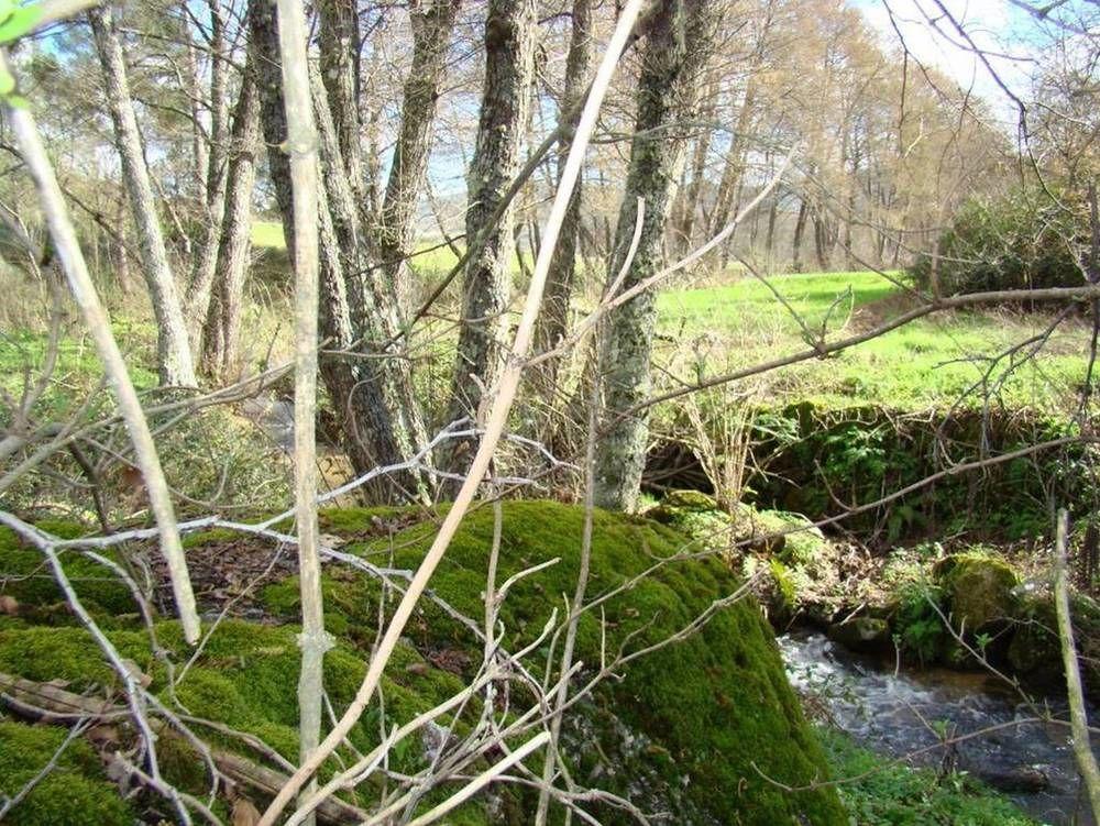 Гостьовий будинок Quinta De Seves Ковілян Екстер'єр фото
